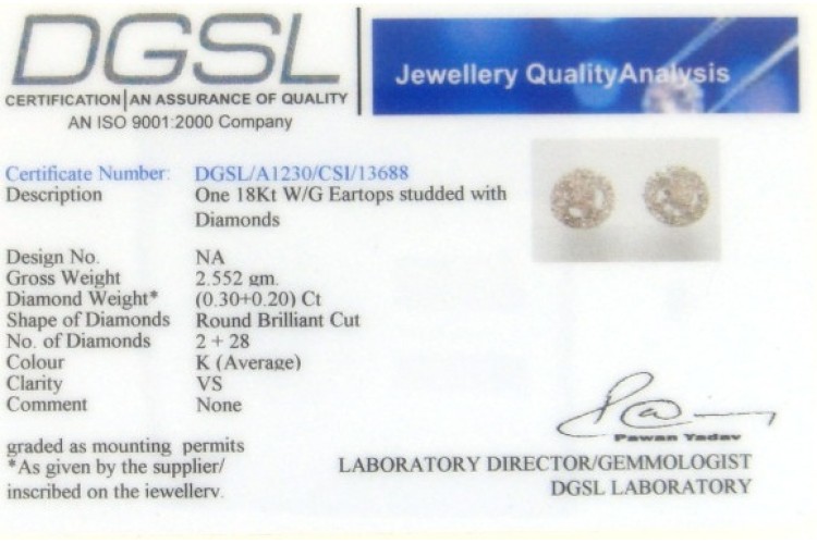 Diamond Cluster Earrings in White Gold